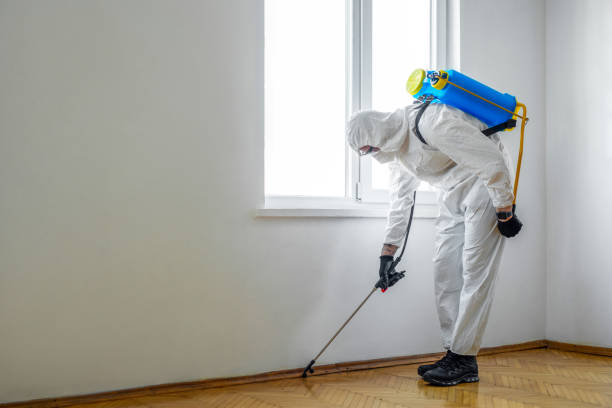 Professional Pest Control in Lyndhurst, VA